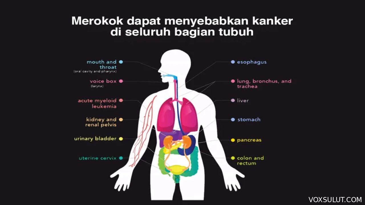 Jenis Rokok Menentukan Risiko Letak Kanker di Tubuh