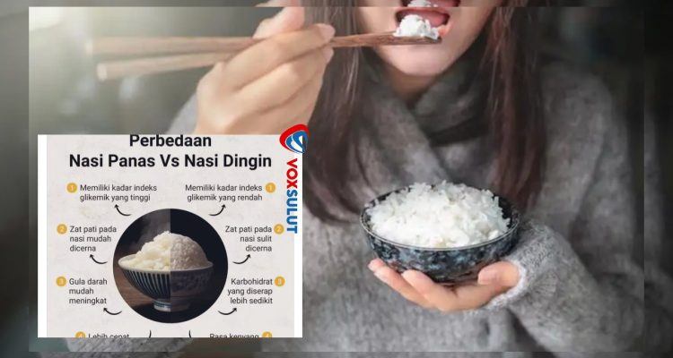 Nasi Dingin Lebih Sehat Ini Manfaat dan Cara Amannya