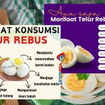 Telur Rebus 7 Manfaat Sehat untuk Tubuh dan Pikiran