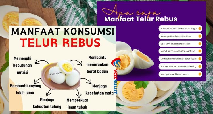 Telur Rebus 7 Manfaat Sehat untuk Tubuh dan Pikiran
