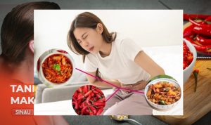 Mengapa Makan Pedas Bisa Menyebabkan Sakit Perut Mengapa Makan Pedas Bisa Menyebabkan Sakit Perut