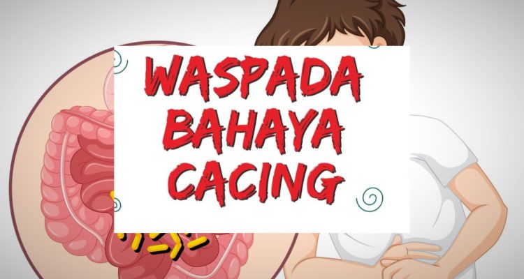 Waspada Cacingan Fakta Kesehatan Penting Bagi Pecinta Games