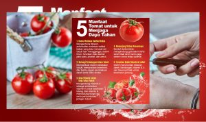 Manfaat Tomat untuk Jaga Imun dan Turunkan Kolesterol