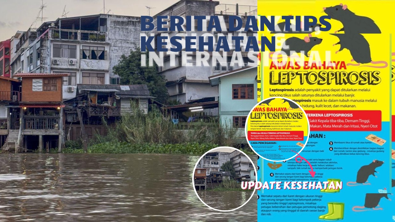 Waspadai Leptospirosis, Penyakit Berbahaya Usai Banjir