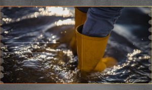 Kemenkes Waspadai Penyakit Menular di Pengungsian Sumatera