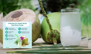 Manfaat Air Kelapa dan Aturan Konsumsinya Setiap Hari