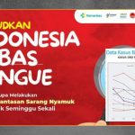 Kasus Dengue ASEAN Naik, Kemenkes Waspada