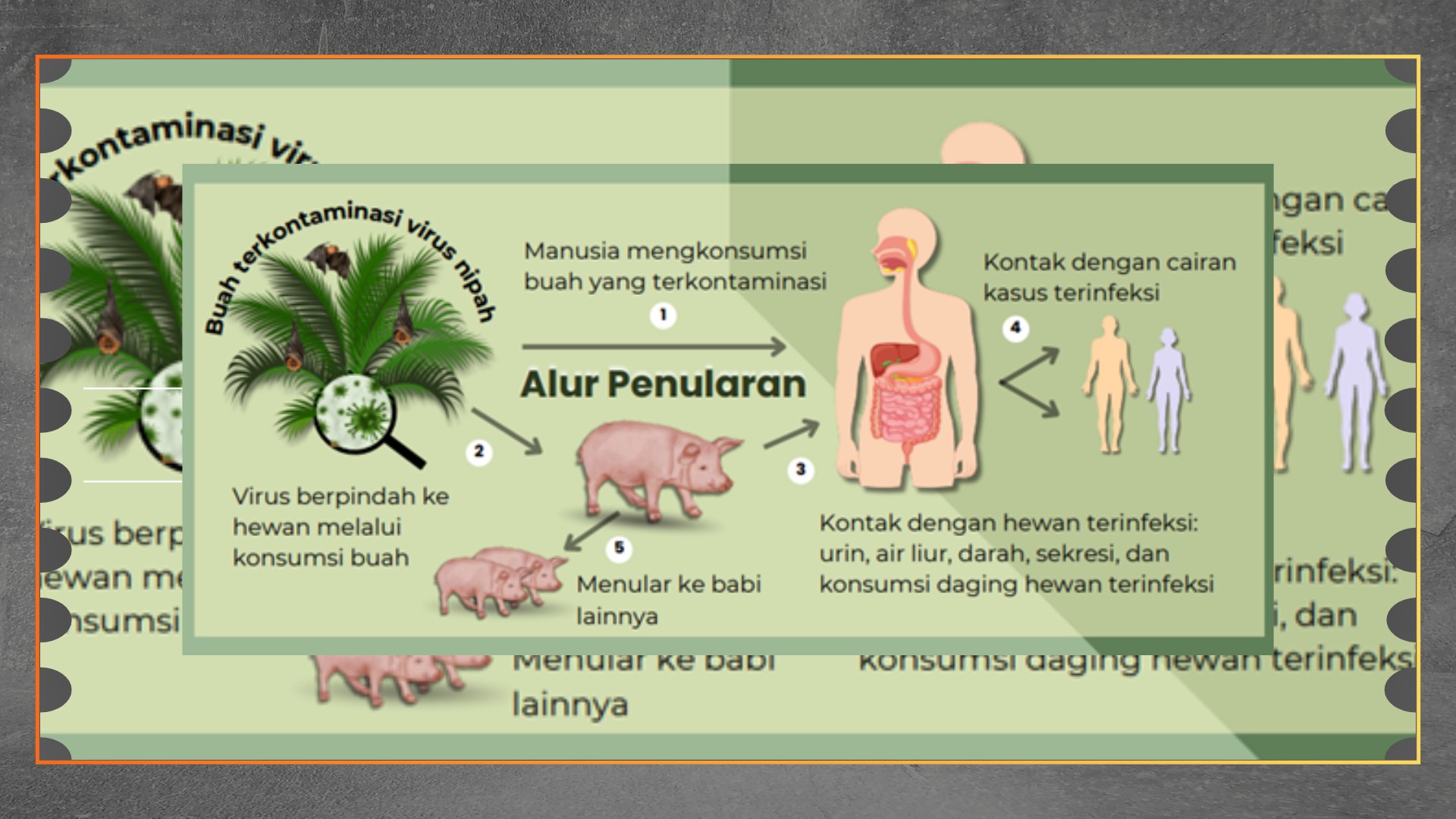 Waspada Gejala Virus Nipah Sejak Dini