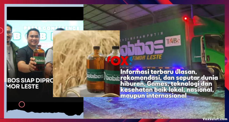Bobibos di Timor Leste Capai 70% Menuju Produksi