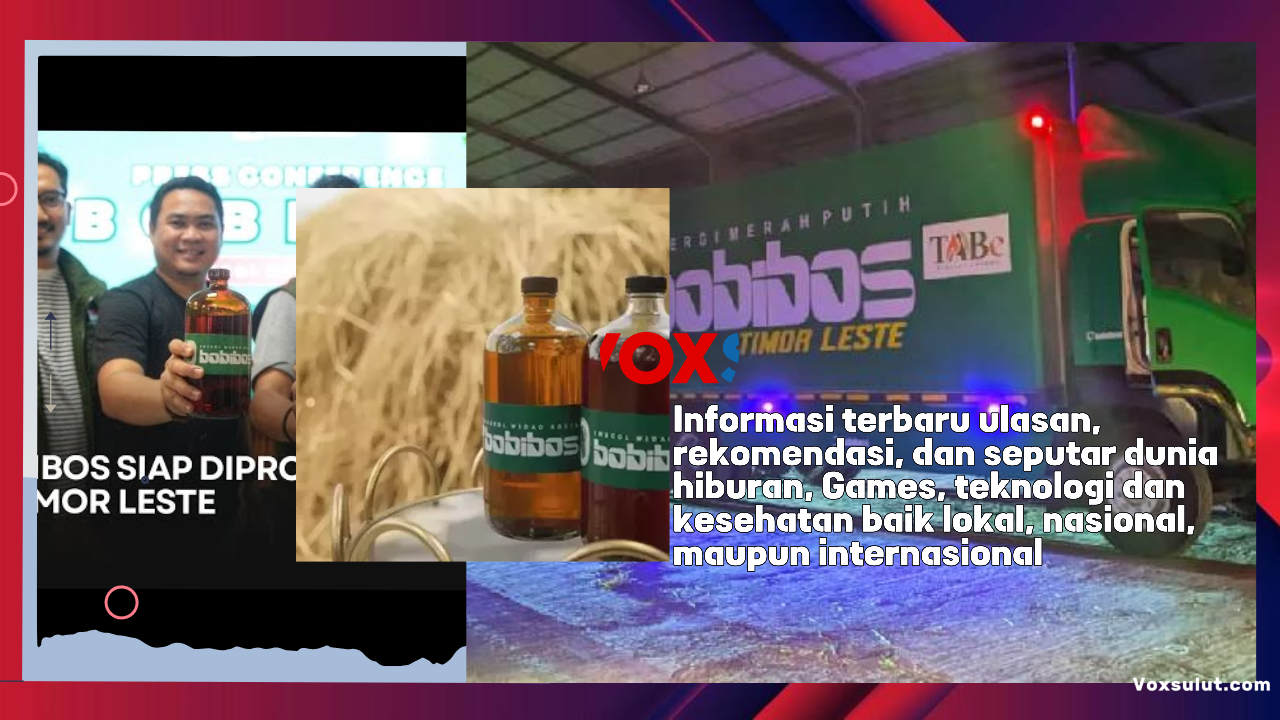 Bobibos di Timor Leste Capai 70% Menuju Produksi