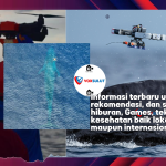 Teknologi Drone Bantu Riset Paus dengan Tag Satelit