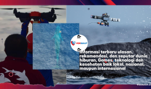 Teknologi Drone Bantu Riset Paus dengan Tag Satelit