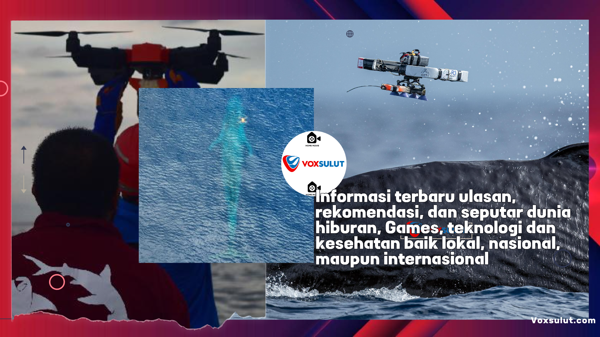 Teknologi Drone Bantu Riset Paus dengan Tag Satelit