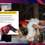 Menkes Sebut Daging Kurban Baik untuk Massa Otot
