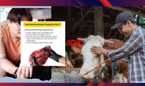 Menkes Sebut Daging Kurban Baik untuk Massa Otot