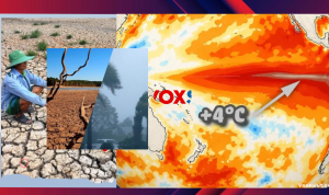 Super El Niño 2026 Mengancam, Ilmuwan Tingkatkan Waspada
